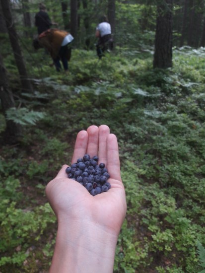 2017-07-02 18.06.25.jpg