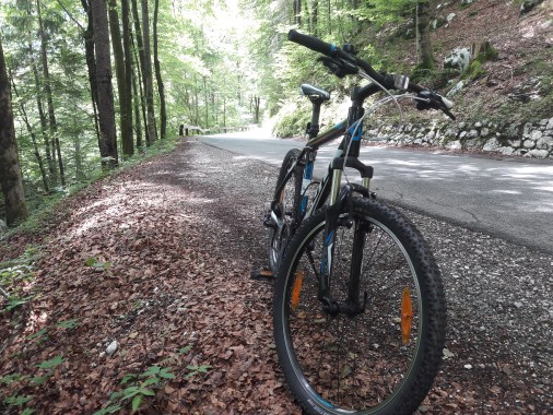 2017-07-04 12.20.58.jpg