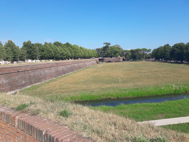 2017-07-13 16.43.14.jpg