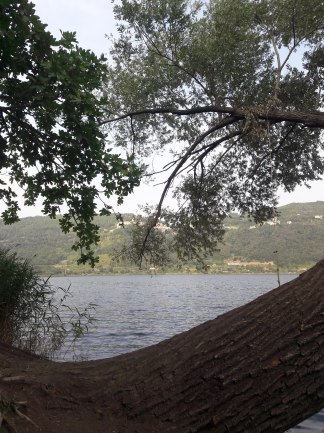 20190831_175736 (1).jpg