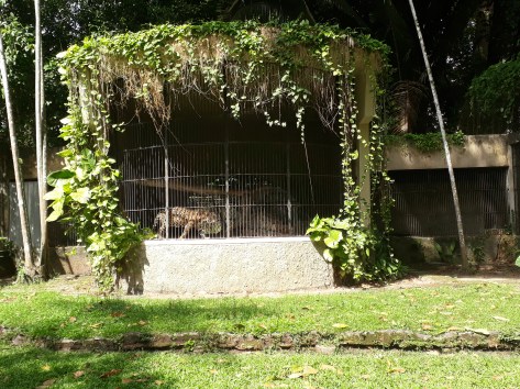 2018-11-11 09.31.39.jpg